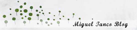 blog-miguel-tanco